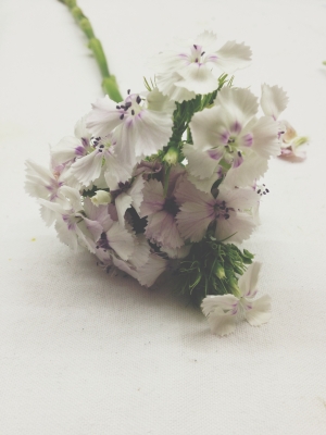 Bouquet for the Stilzitat Studio via Passion and Obsession blogn